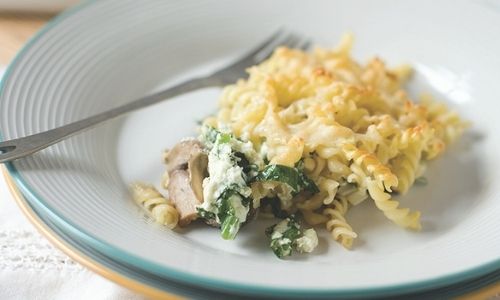 7 Perfectly Easy Pasta Bake Recipes The Whole Family Will Enjoy Mushroom Pasta Bake